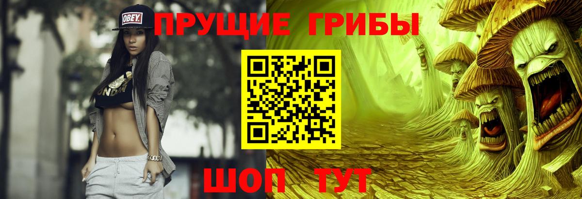 Псилоцибиновые грибы мицелий Грозный
