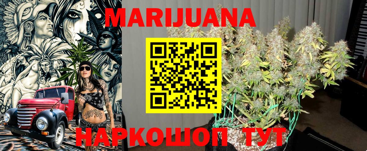 Грозный  Бошки марихуана план  Бошки Шишки AK-47  Вход с VPN  Шишки марихуана ГИДРОПОН  Конопля сатива 